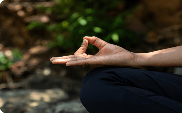 YOGIC COMPANY